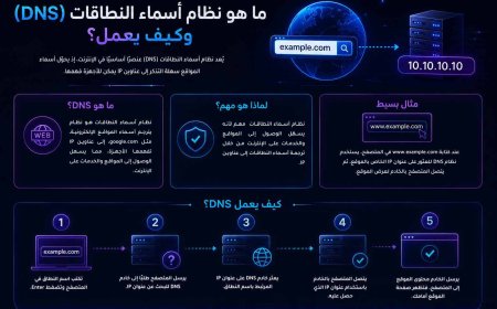 ما هو نظام أسماء النطاقات (DNS) وكيف يعمل؟